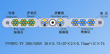 新澳门原料网1688茄子